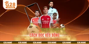Cách Đọc Kèo Bóng Chi Tiết Giúp Nâng Cao Tỷ Lệ Thắng Cược 2026