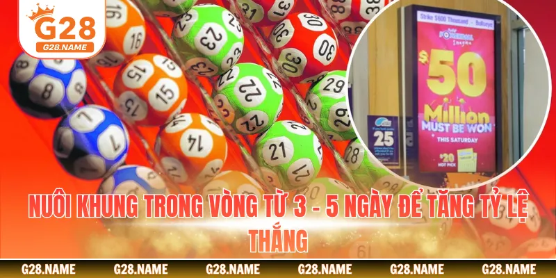 Nuôi khung trong vòng từ 3 - 5 ngày để tăng tỷ lệ thắng